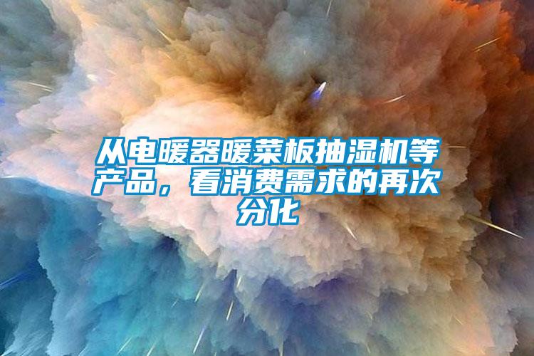 从电暖器暖菜板抽湿机等产品，看消费需求的再次分化