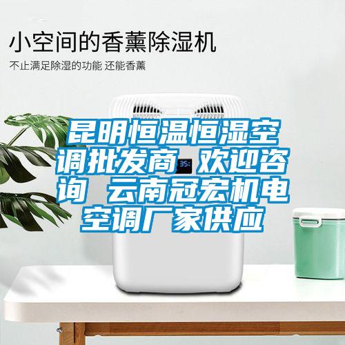 昆明恒温恒湿空调批发商 欢迎咨询 云南冠宏机电空调厂家供应