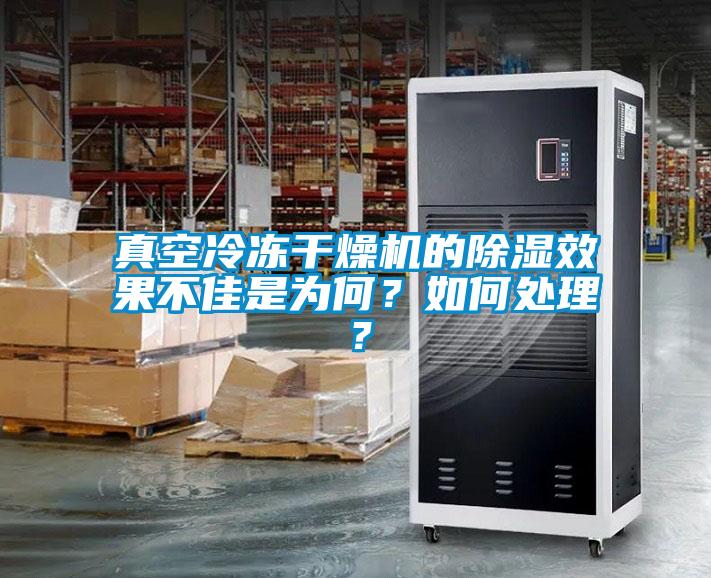 真空冷冻干燥机的除湿效果不佳是为何？如何处理？