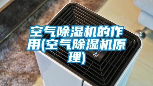 空气除湿机的作用(空气除湿机原理)
