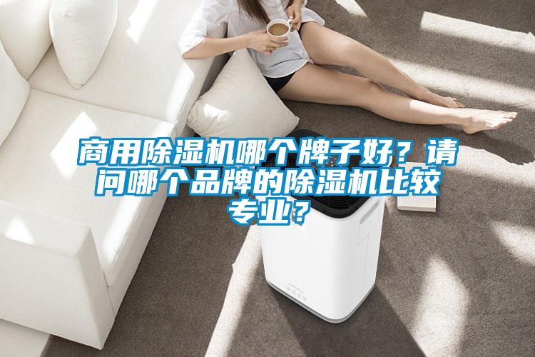 商用除湿机哪个牌子好？请问哪个品牌的除湿机比较专业？