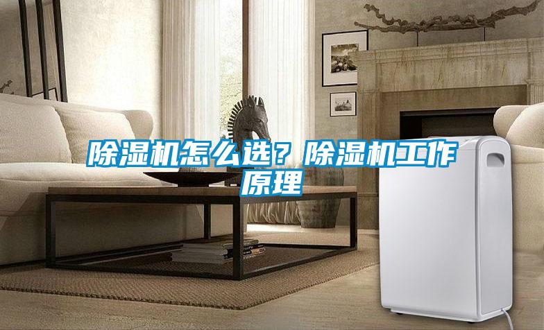 除湿机怎么??？除湿机工作原理