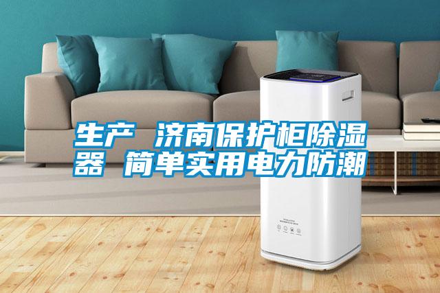 生產(chǎn) 濟(jì)南保護(hù)柜除濕器 簡單實(shí)用電力防潮