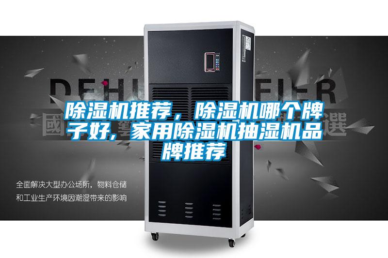 除湿机推荐，除湿机哪个牌子好, 家用除湿机抽湿机品牌推荐