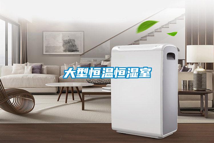 大型恒温恒湿室