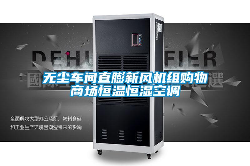 无尘车间直膨新风机组购物商场恒温恒湿空调