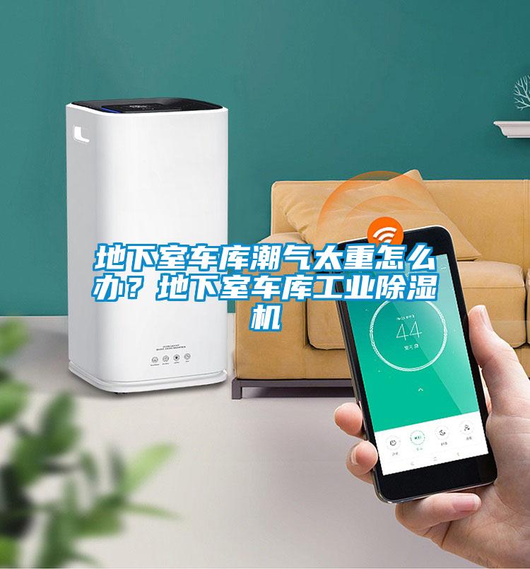 地下室车库潮气太重怎么办？地下室车库工业除湿机