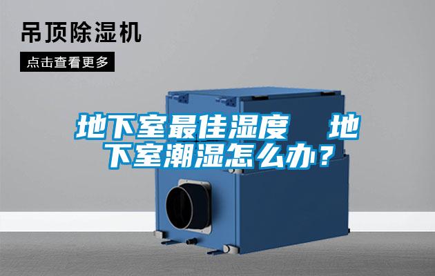 地下室最佳湿度  地下室潮湿怎么办？