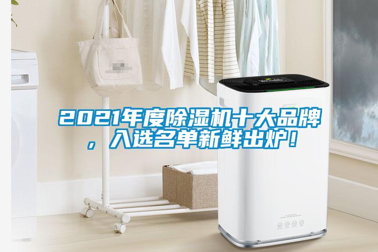 2021年度除湿机十大品牌，入选名单新鲜出炉！
