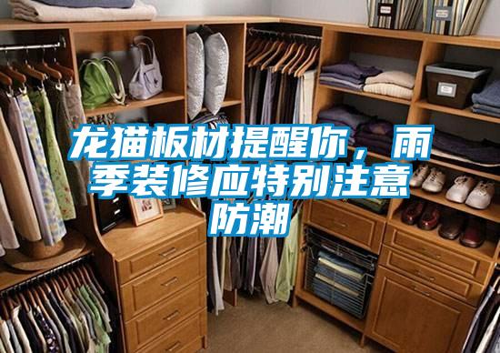 龙猫板材提醒你，雨季装修应特别注意防潮