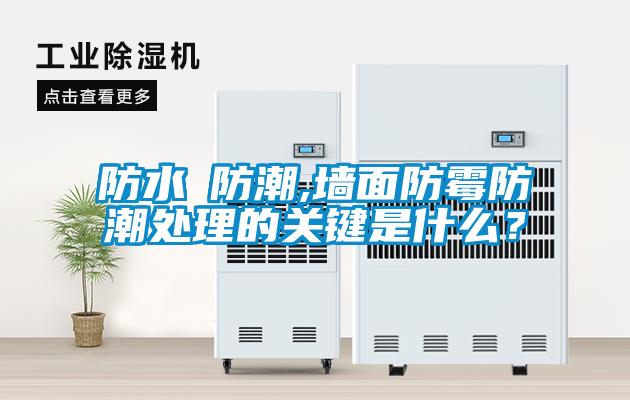 防水≠防潮,墙面防霉防潮处理的关键是什么？