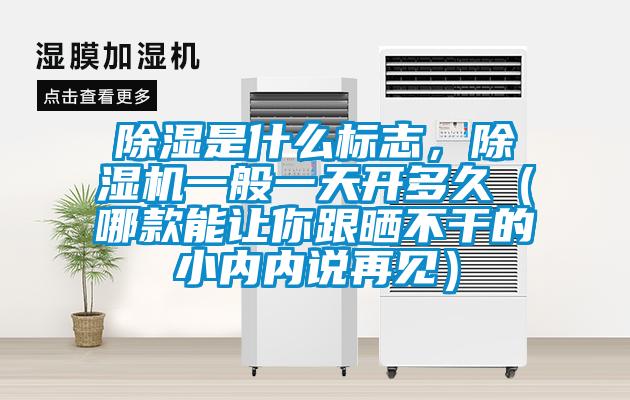 除湿是什么标志，除湿机一般一天开多久（哪款能让你跟晒不干的小内内说再见）