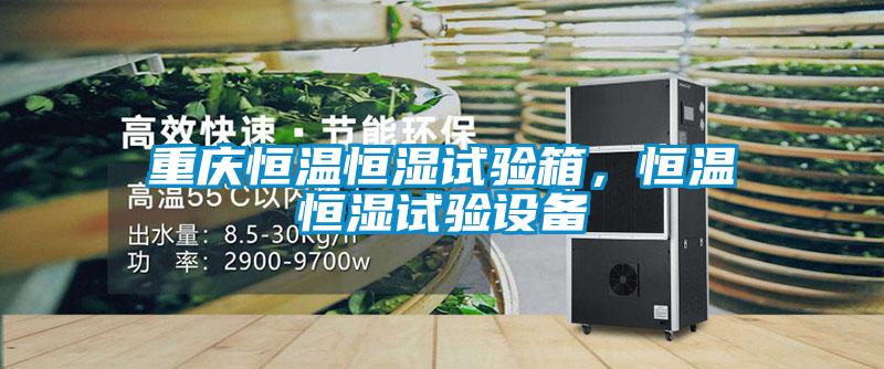 重庆恒温恒湿试验箱，恒温恒湿试验设备