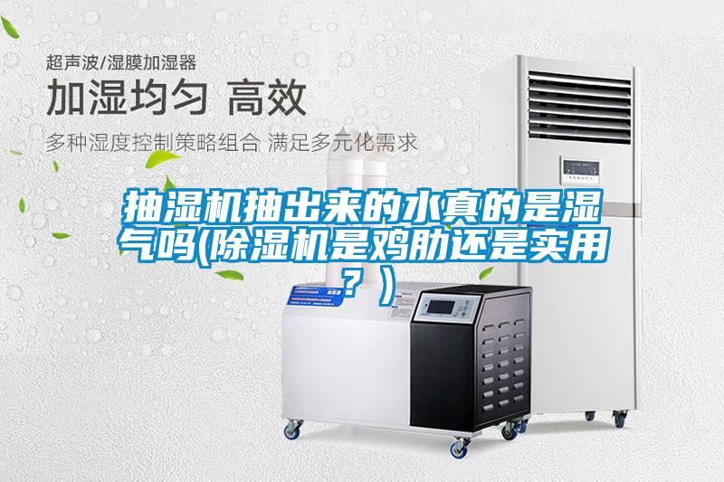 抽湿机抽出来的水真的是湿气吗(除湿机是鸡肋还是实用？)