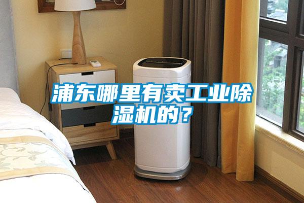 浦东哪里有卖工业除湿机的？