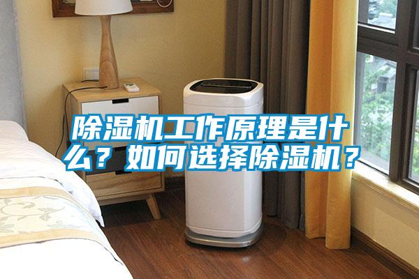除湿机工作原理是什么？如何选择除湿机？