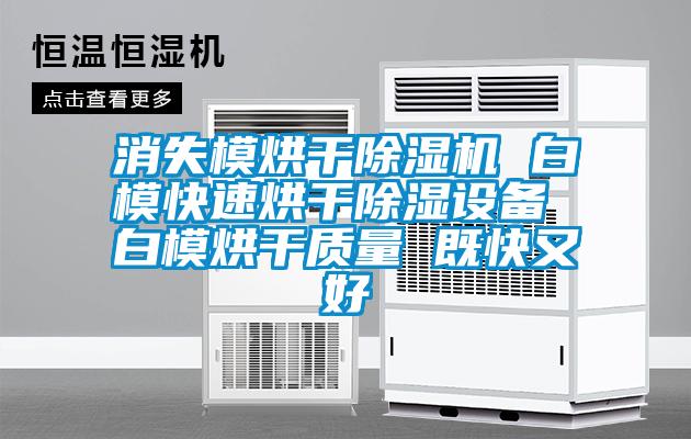 消失模烘干除湿机 白?？焖俸娓沙璞?白模烘干质量 既快又好