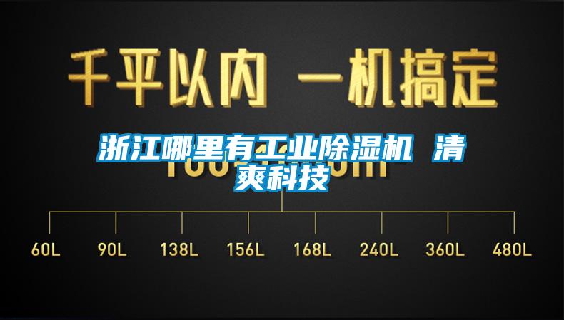 浙江哪里有工业除湿机 清爽科技