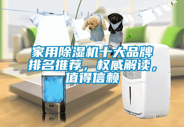 家用除湿机十大品牌排名推荐，权威解读，值得信赖
