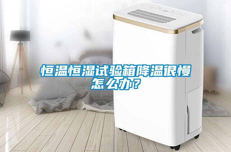 恒温恒湿试验箱降温很慢怎么办？