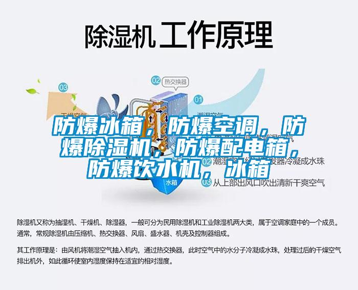 防爆冰箱，防爆空调，防爆除湿机，防爆配电箱，防爆饮水机，冰箱
