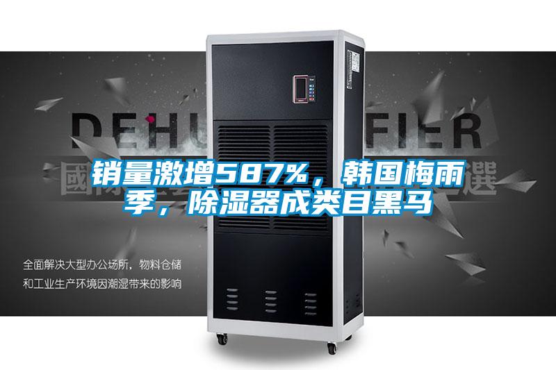 销量激增587%，韩国梅雨季，除湿器成类目黑马