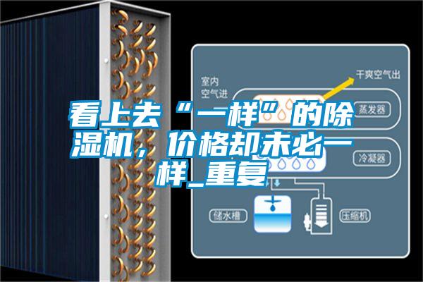 看上去“一樣”的除濕機(jī)，價(jià)格卻未必一樣_重復(fù)
