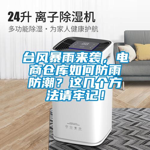 台风暴雨来袭，电商仓库如何防雨防潮？这几个方法请牢记！