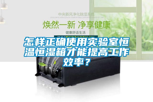 怎样正确使用实验室恒温恒湿箱才能提高工作效率？