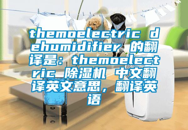 themoelectric dehumidifier 的翻译是：themoelectric 除湿机 中文翻译英文意思，翻译英语
