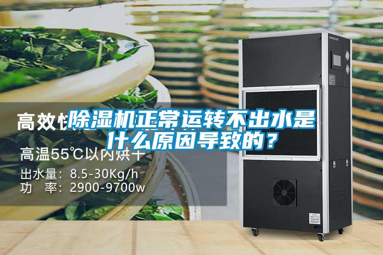 除湿机正常运转不出水是什么原因导致的？