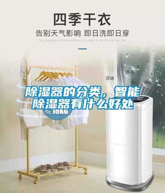 除湿器的分类，智能除湿器有什么好处