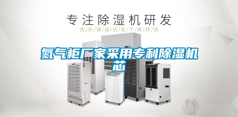 氮气柜厂家采用专利除湿机芯