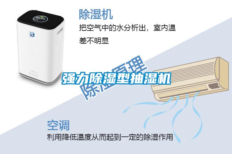 强力除湿型抽湿机