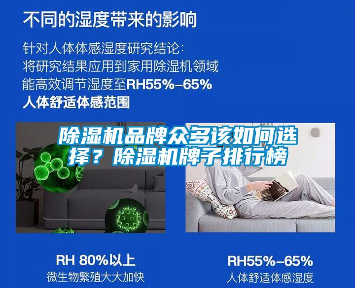 除湿机品牌众多该如何选择？除湿机牌子排行榜