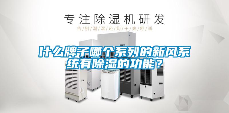 什么牌子哪个系列的新风系统有除湿的功能？