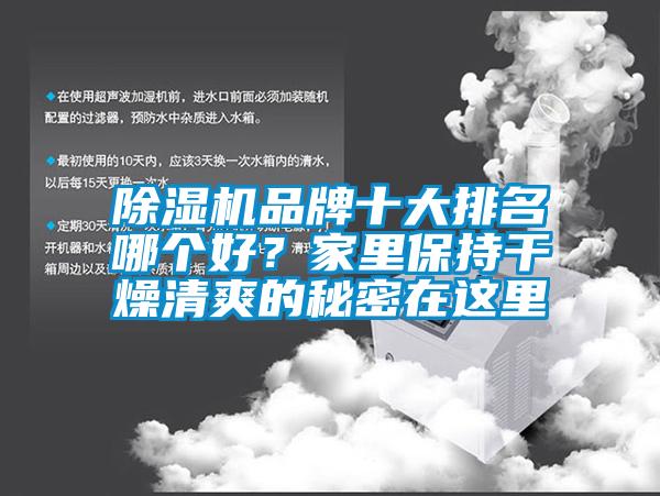 除湿机品牌十大排名哪个好？家里保持干燥清爽的秘密在这里