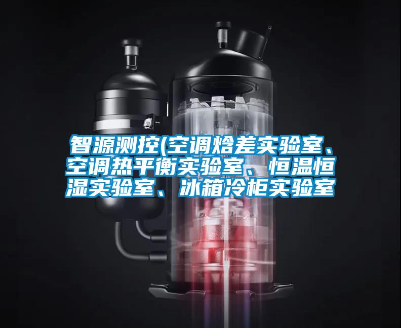智源测控(空调焓差实验室、空调热平衡实验室、恒温恒湿实验室、冰箱冷柜实验室