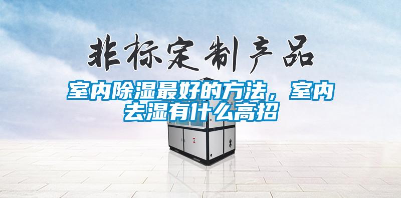 室内除湿最好的方法，室内去湿有什么高招