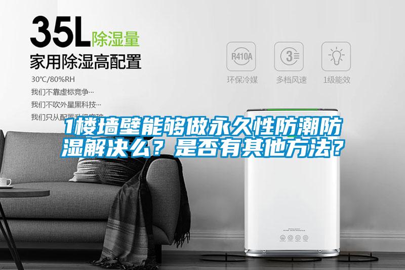 1楼墙壁能够做永久性防潮防湿解决么？是否有其他方法？