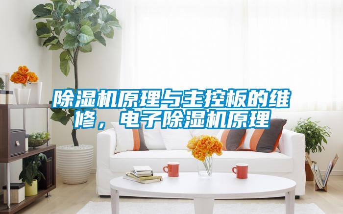 除湿机原理与主控板的维修，电子除湿机原理