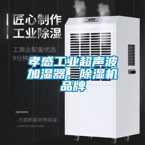 孝感工业超声波加湿器，除湿机品牌