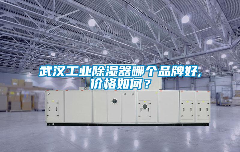 武汉工业除湿器哪个品牌好,价格如何？