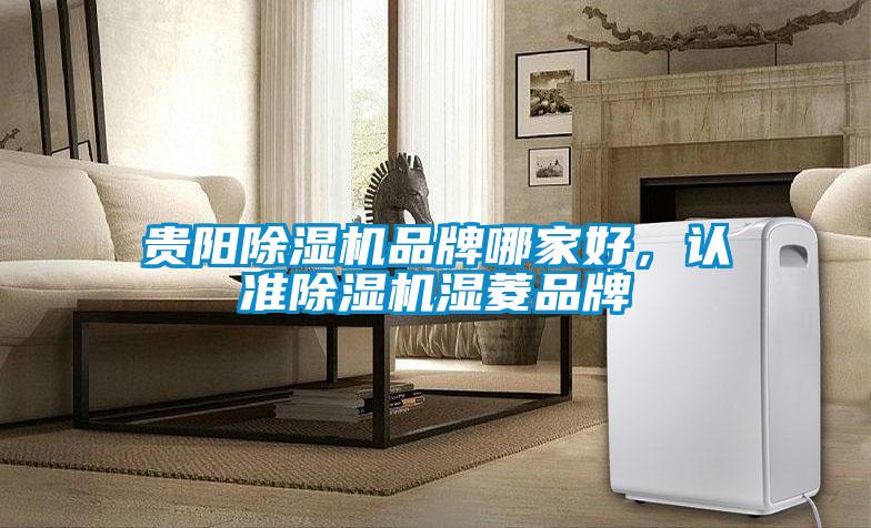 贵阳除湿机品牌哪家好，认准除湿机湿菱品牌