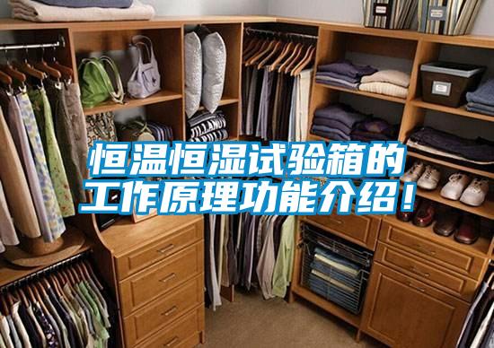 恒温恒湿试验箱的工作原理功能介绍！