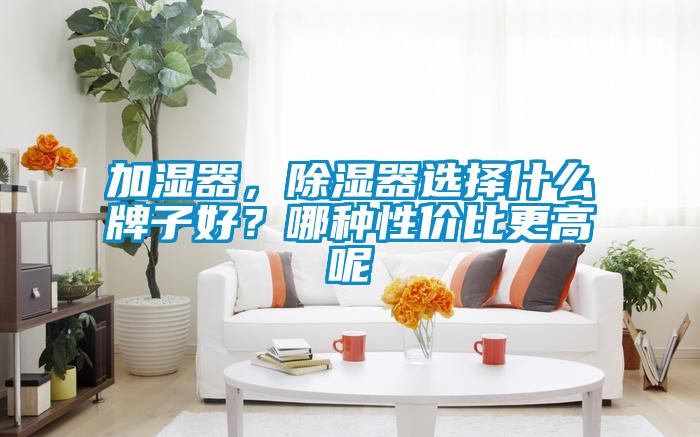 加湿器，除湿器选择什么牌子好？哪种性价比更高呢