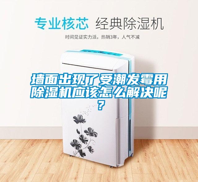 墙面出现了受潮发霉用除湿机应该怎么解决呢？