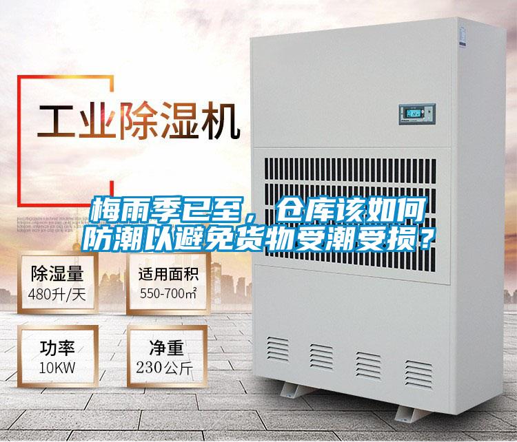 梅雨季已至，仓库该如何防潮以避免货物受潮受损？