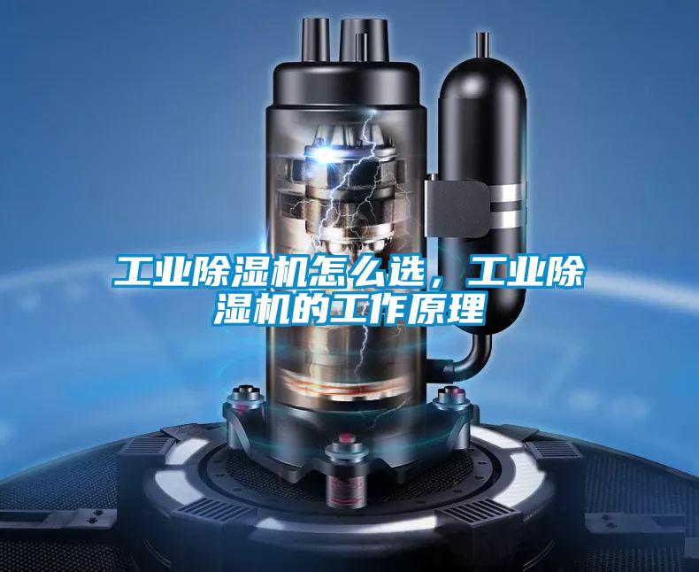 工业除湿机怎么选，工业除湿机的工作原理