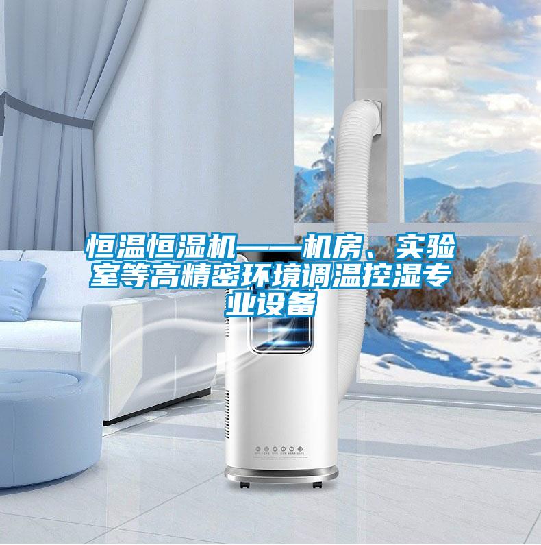 恒温恒湿机——机房、实验室等高精密环境调温控湿专业设备